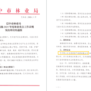 巴中两山公司及下属企业通江县两山公司分别获市、县林业局通报表扬