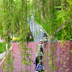 宜居巴城 全龄暖心