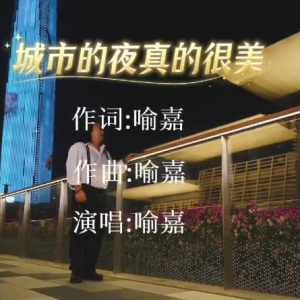 “城市的夜真的很美”