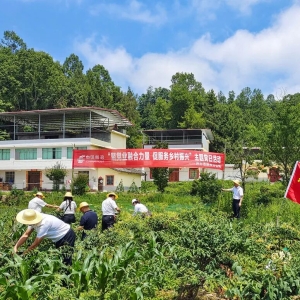把实事办到群众心坎上——巴中市分公司党委“党建+村社”解民忧暖民心