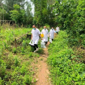 平昌县突出一体化便民 持续提升失能老年人“健康敲门行动”健康服务质效