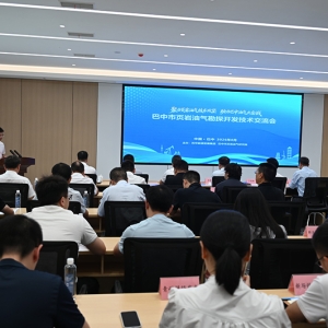 巴中油气勘探开发怎么干？这场交流会给答案