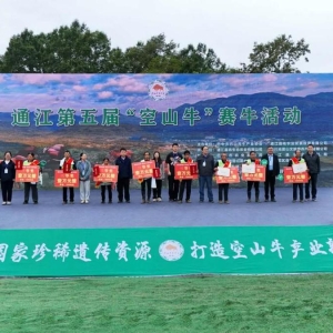 以赛聚智兴牛业 种源筑链启新程 第五届通江空山牛赛牛活动开赛