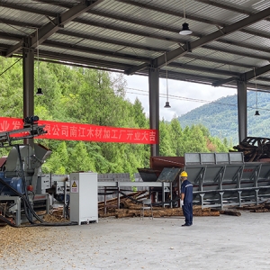 盘活区域涉农资源 助力农林产业绿色转型 ——四川两山林业发展有限公司木材加工厂正式投产运营
